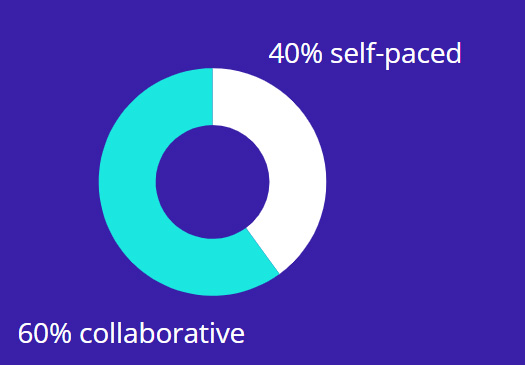 Program Delivery and Format - cohort-based human skills programs