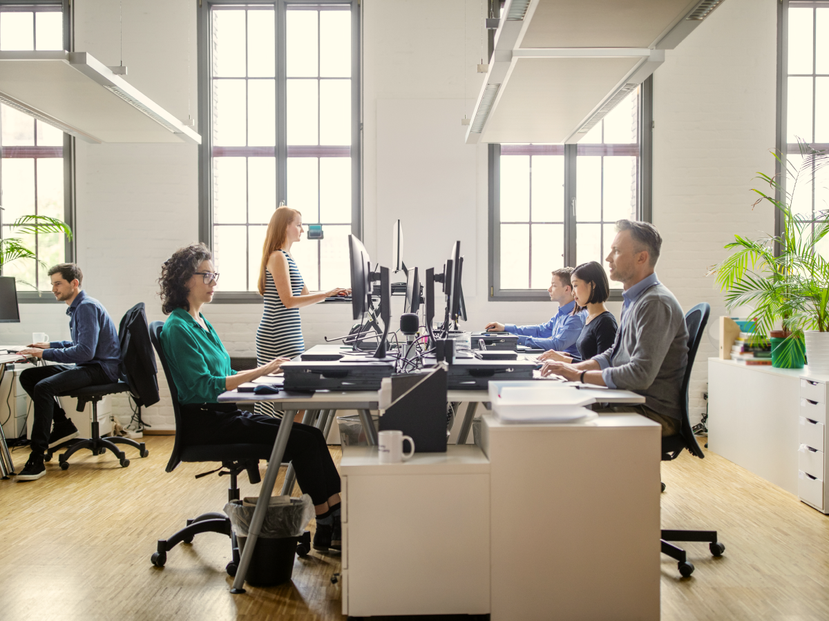 People working in a well lit office on computers in front of windows